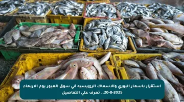 استقرار بأسعار البوري والأسماك الرئيسية في سوق العبور يوم الأربعاء 20-8-2025.. تعرف على التفاصيل